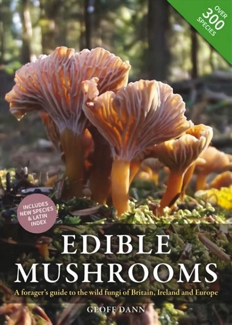 Edible Mushrooms A Foragers Guide To The Wild Fungi Of Britain