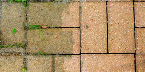 Therefore, they will never fully dry out and the mold will continue to come back no matter how or what you clean them with. Cleaning Patio Pavers will Keep Your Yard Looking Brand New