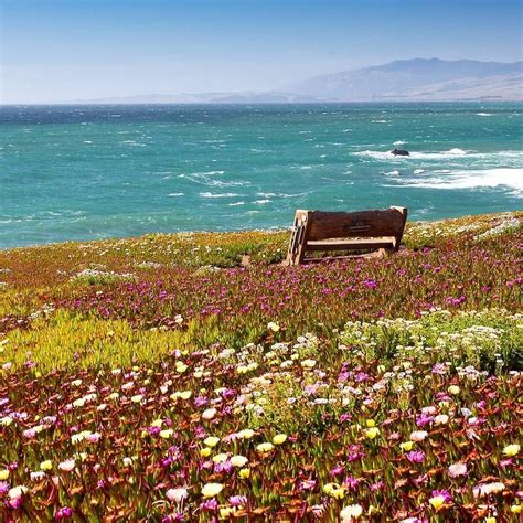 Wildflowers And Ocean Views Await At The Fiscalini Ranch Preserve Along