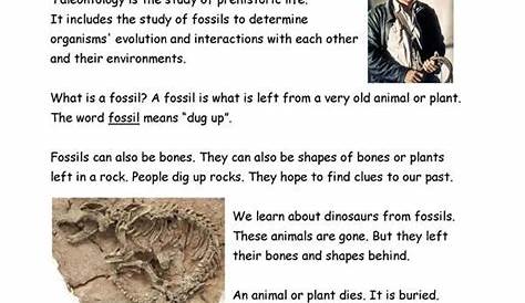 fossil worksheet grade 2