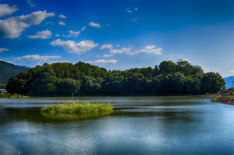 무료 이미지 경치 바다 나무 자연 숲 산 구름 하늘 한 지방 햇빛 아침 육지 호수 강 여름 황혼