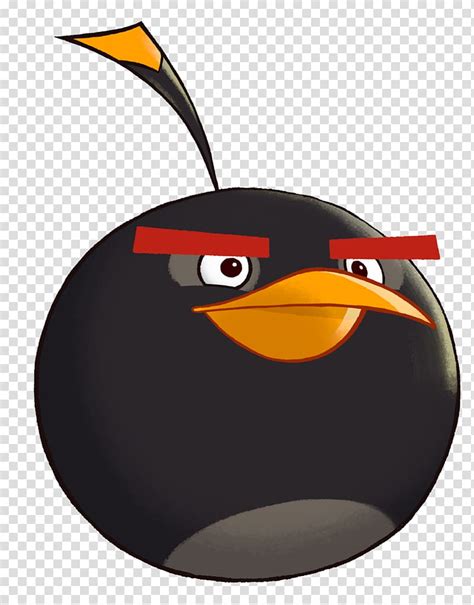 Angry Birds Black Bird Clipart 11 Free Cliparts Download Images On