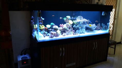 Beli paket aquarium mini online berkualitas dengan harga murah terbaru 2021 di tokopedia! Jual Akuarium Di Surabaya Harga Murah Surabaya oleh Toko ...