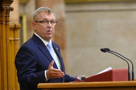 A rendszerváltás után több privatizációval foglalkozó kutatóintézet vezetője volt. Az összeomlás szélére kerülhetett a Matolcsy család ...