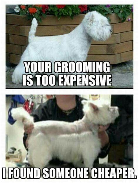 Dog Groomer Humor Dog Grooming Dog Grooming Salons