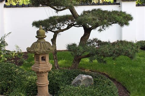 We did not find results for: Aisa und Japan Garten | Native Plants