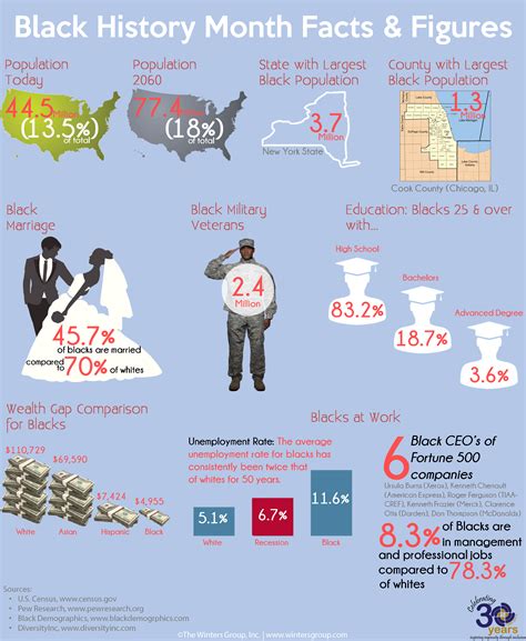 African American Infographic Black History Month Facts History