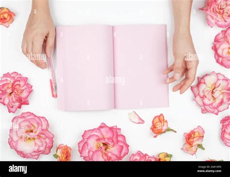 Two Female Hands Holding Open Notepad With Clean Pink Sheets On A White