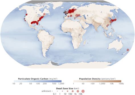 Hypoxic Zones Around The World Source Diaz And Rosenberg 2008 Map