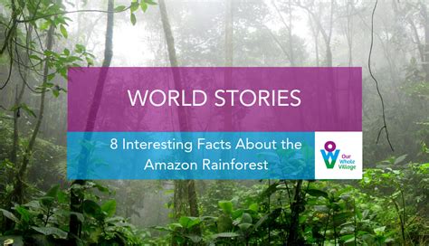 15 Facts About The Amazon Rainforest Kulturaupice