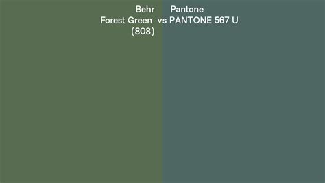Behr Forest Green 808 Vs Pantone 567 U Side By Side Comparison
