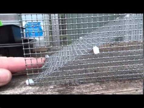 Make your own crawfish traps out of plastic bottles! Homemade Crayfish Trap - YouTube