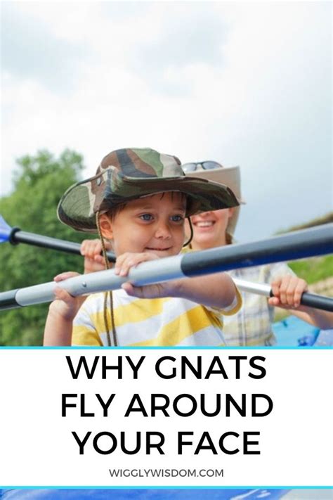 Why Gnats Fly Around Your Face And Easy Ways To Keep Them Away