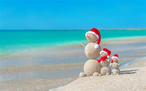 The very first association with the winter holidays is a conifer, which the whole family decorates on christmas eve. Tropical Christmas Wallpapers - Top Free Tropical ...