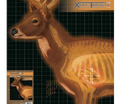 Champion Deer X Ray Paper Targets 25 X 25 6 Count Hero Outdoors
