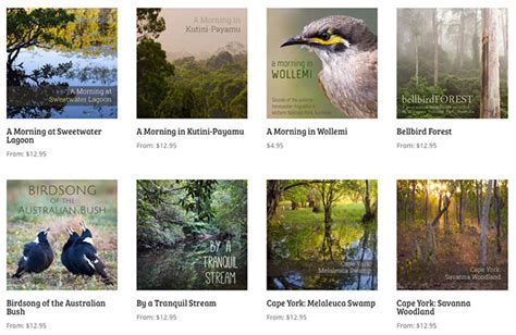 Listen To Nature Sounds From Around The Globe With Nature Soundmap