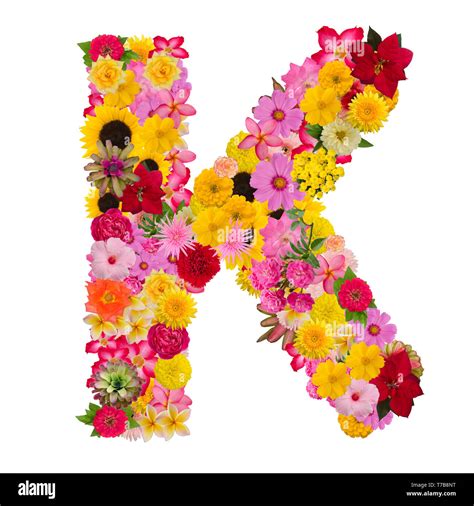 letter k alphabet with flower abc concept type as logo isolated on white background with