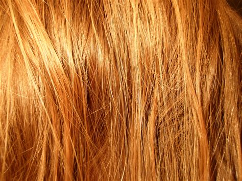 Fileblonde Hair Wikimedia Commons