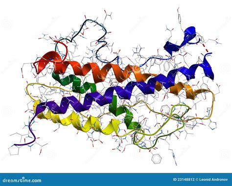 Human Growth Hormone Hgh Somatotropin Molecule 3d Rendering