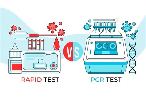 Free Vector | Rapid and pcr test differences and similarities