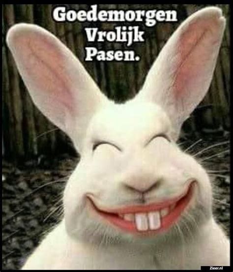 Goedemorgen Vrolijk Pasen Easter Humor Happy Easter Funny Easter