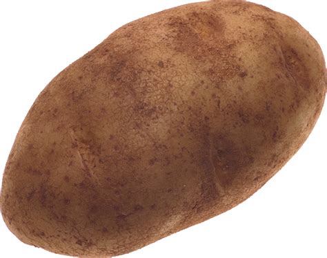 Potato Png Image Purepng Free Transparent Cc0 Png Image Library