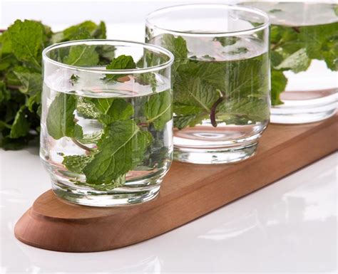 Summer Fresh Spearmint Flavored Infused Water Infused Water Recipes