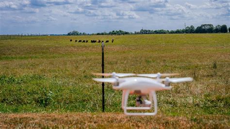 Facial Recognition For Cows Drones On The Farm Cnet