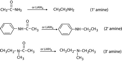 Chemistry Preparation Of Amines