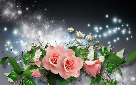 Hd Pink Roses Blue Whispers Wallpaper Download Free 53392