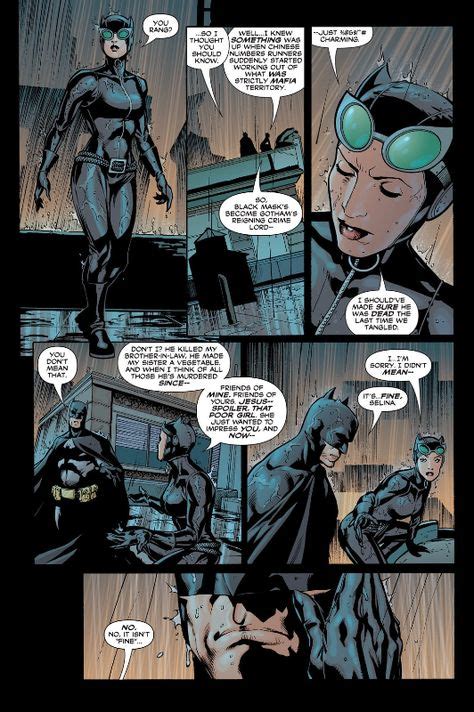 Batcat In Detective Comics 800 Batman And Catwoman Catwoman