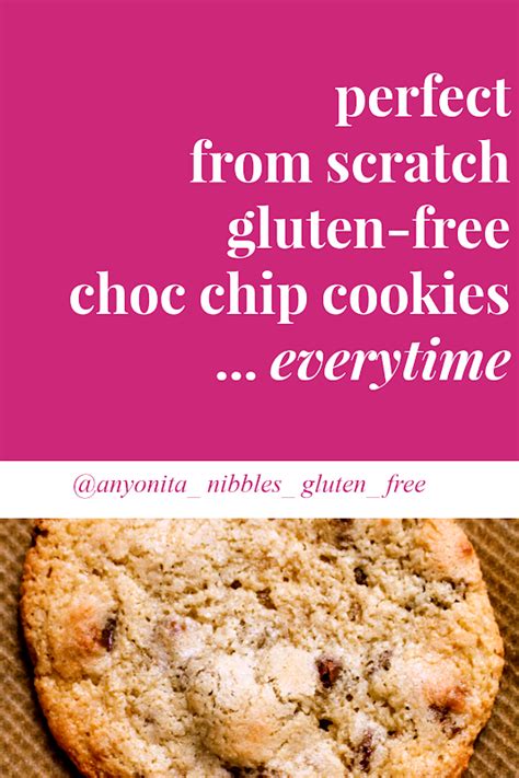 Anyonita Nibbles Gluten Free Recipes Gluten Free Chocolate Chip
