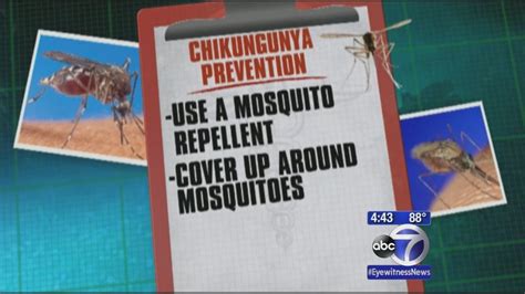 What You Need To Know About The Chikungunya Virus Including Symptoms