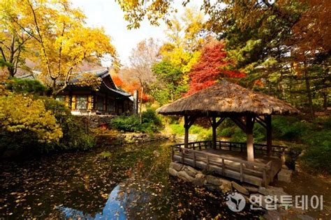 전통 마을과 가을 풍경