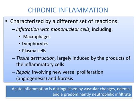 Ppt Inflammation And Repair Lecture 4 Chronic Inflammation Systemic