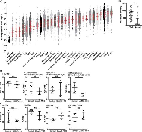 Fibroblast Activation Protein Expression Elevated In Pdac Contributes