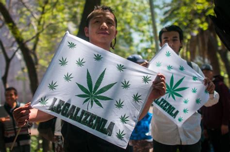 méxico amlo da el primer paso para legalizar la marihuana telesantander