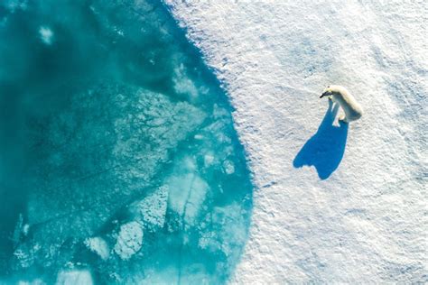 Stunning Winners Of International Drone Photography Competition