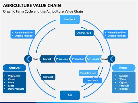 Agriculture Value Chain