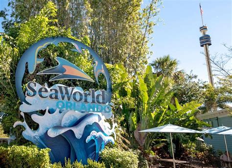 Dicas Para Aproveitar Ao Máximo Seu Dia No Seaworld Orlando