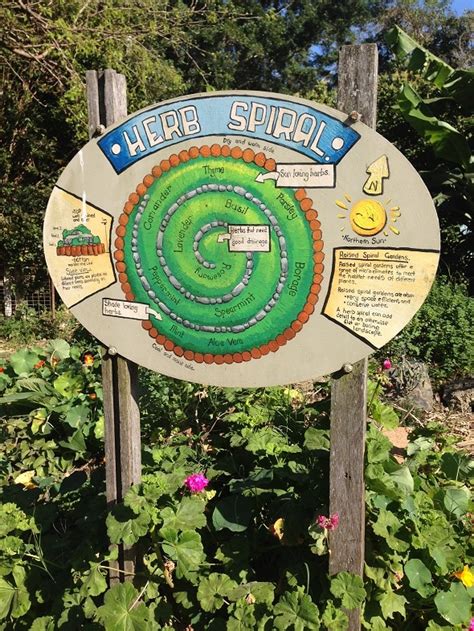 Within the greater brisbane region, further markets are to be found in the specialising in all kinds of fresh food and local delicacies, visitors will also find a number of other stalls selling typical aussie souvenirs. Northey Street Organic and Fresh Food Markets, Windsor ...