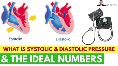 Explain The Difference Between Systolic And Diastolic Pressure