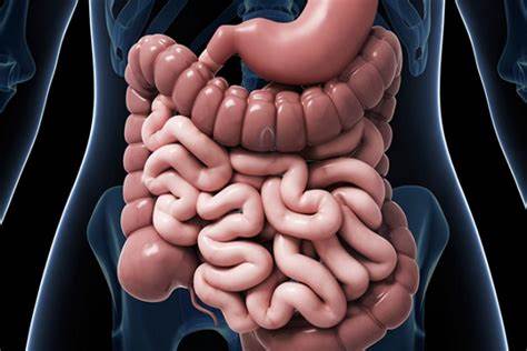 Непроходимость кишечника что делать: что делать и как лечить Картинка - Непроходимость кишечника что делать: что делать и как лечить