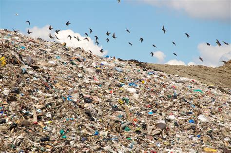 Lesson Plan Reducing San Franciscos Landfill Waste