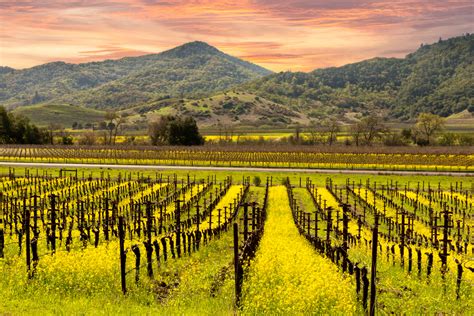 3 Most Well Guarded Secrets About Our Napa Valley Wine Tour Women