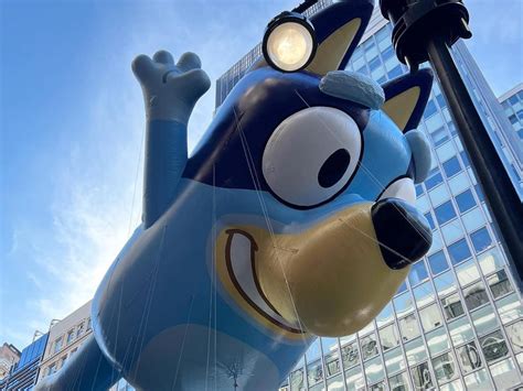 Bluey Takes On New York And The World Daily Telegraph