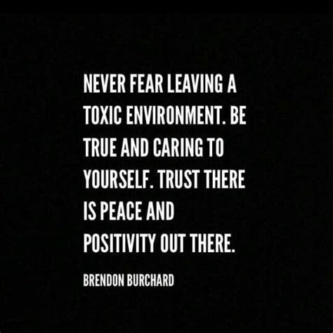 Never Fear Leaving A Toxic Environment Be True And Caring To Yourself Trust There Is Peace And