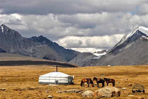 Western Mongolia 2021 | Estancia Ranquilco