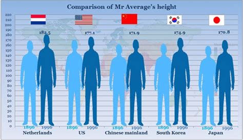 In the us, the average male is 1.77 m tall. Why are jaws growing smaller if humans are growing larger ...