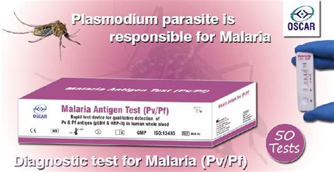 Malaria Antigen Test Pvpf At Best Price In Pune Id 3526123